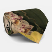 Orchideeën Stropdas (Opgerold)