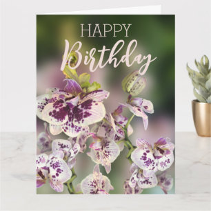 Orchideeën Tropische Bloemen Gelukkige Verjaardag  Kaart