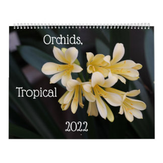 Orchideeën, tropische Planten Agenda 2022 Kalender