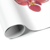 Orchideeën van Azië Dagspa Cadeaupapier (Rol Hoek)