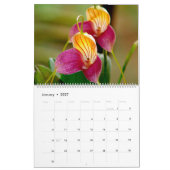 Orchideeën van Colombia Agenda 2013 Kalender (Jan 2027)