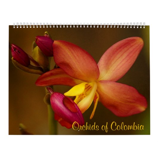 Orchideeën van Colombia Agenda 2013 Kalender (Hoes)