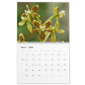 Orchideeën van Colombia Agenda 2013 Kalender (Mar 2026)