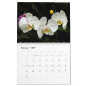 Orchideeën van Colombia Agenda 2013 Kalender (Feb 2027)