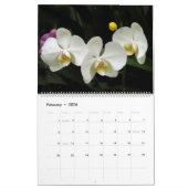 Orchideeën van Colombia Agenda 2013 Kalender (Feb 2026)