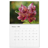 Orchideeën van Colombia Agenda 2014 Kalender (Feb 2026)