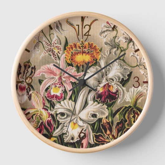 Orchideeën van Ernst Haeckel (Voorkant)