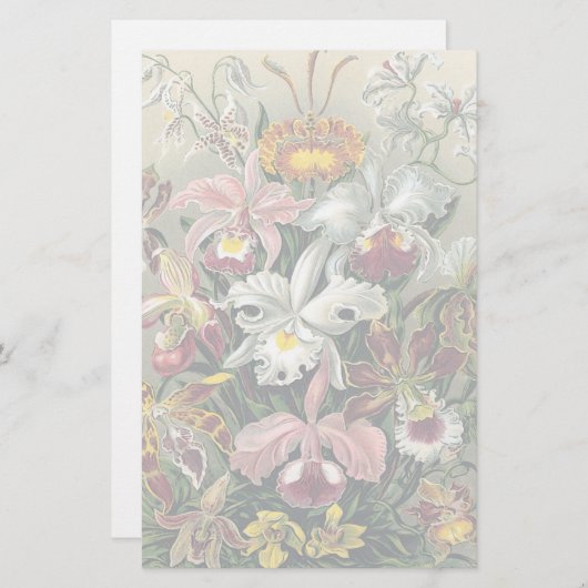 Orchideeën van Ernst Haeckel Briefpapier (Voorkant / Achterkant)