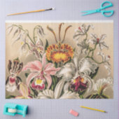 Orchideeën van Ernst Haeckel Decoupage Tissue Pape Tissuepapier (Craft)