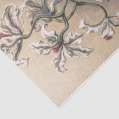 Orchideeën van Ernst Haeckel Decoupage Tissuepapier (Detail)