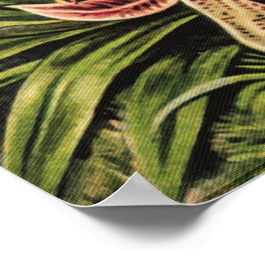 Orchideeën van Ernst Haeckel Poster (Hoek)