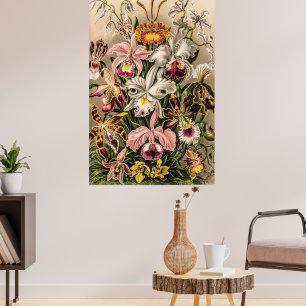 Orchideeën van Ernst Haeckel Poster