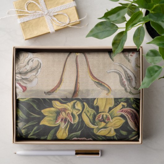 Orchideeën van Ernst Haeckel Tissuepapier (Geschenk)