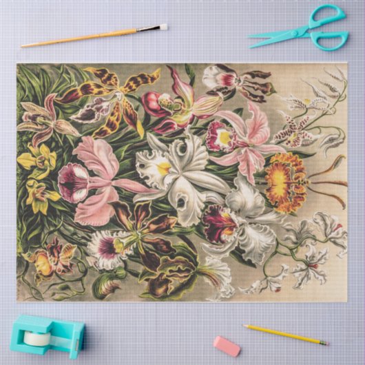 Orchideeën van Ernst Haeckel Tissuepapier (Craft)