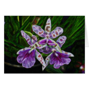 Orchideeën van Longwood