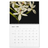 Orchideeën van Orchidelique Kalender (Mar 2026)