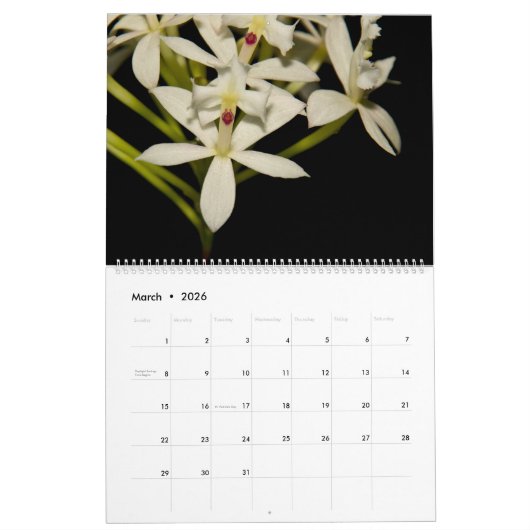 Orchideeën van Orchidelique Kalender (Mar 2026)