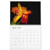 Orchideeën van Orchidelique Kalender (Feb 2027)