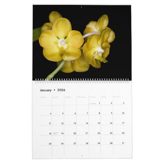 Orchideeën van Orchidelique Kalender (Jan 2026)