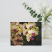 Orchideeën van roze en geel briefkaart (Staand voorkant)