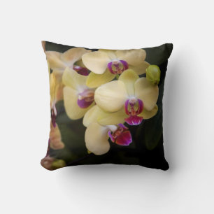 Orchideeën van roze en geel kussen