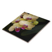 Orchideeën van roze en geel tegeltje (Zijkant)