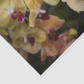 Orchideeën van roze en geel tissuepapier (Detail)