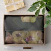 Orchideeën van roze en geel tissuepapier (Geschenk)