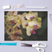 Orchideeën van roze en geel tissuepapier (Craft)