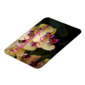 Orchideeën van roze en geel, Washington D.C. Magneet (Linkerzijde)