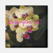 Orchideeën van roze en geel, Washington D.C. Magneet (Voorkant)