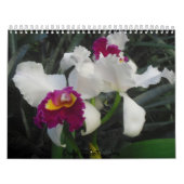 Orchideeën van Scott S. Jones Kalender (Hoes)