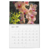 Orchideeën van Scott S. Jones Kalender (Mar 2027)