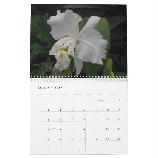 Orchideeën van Scott S. Jones Kalender (Jan 2027)
