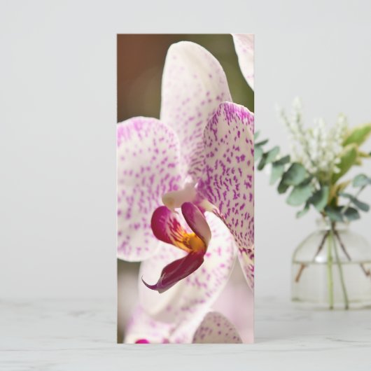 Orchideeën van Shirley Taylor (Staand voorkant)