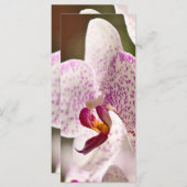 Orchideeën van Shirley Taylor (Voorkant / Achterkant)