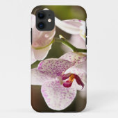 Orchideeën van Shirley Taylor Case-Mate iPhone Case (Achterkant)