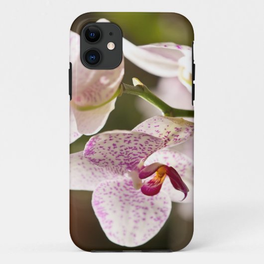 Orchideeën van Shirley Taylor Case-Mate iPhone Case (Achterkant)