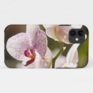 Orchideeën van Shirley Taylor Case-Mate iPhone Case