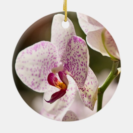 Orchideeën van Shirley Taylor Keramisch Ornament (Achterkant)