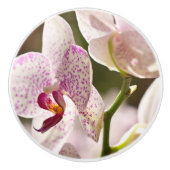 Orchideeën van Shirley Taylor Keramische Knop (Voorkant)