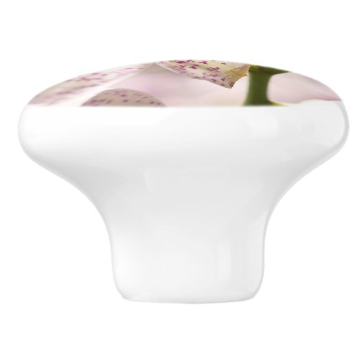 Orchideeën van Shirley Taylor Keramische Knop (Zijkant)