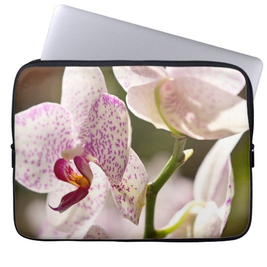 Orchideeën van Shirley Taylor Laptop Sleeve (Voorkant)