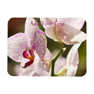 Orchideeën van Shirley Taylor Magneet