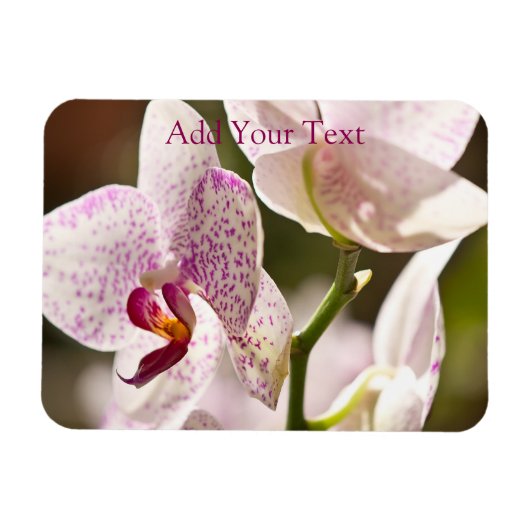 Orchideeën van Shirley Taylor Magneet (Horizontaal)