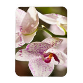 Orchideeën van Shirley Taylor Magneet (Verticaal)