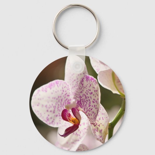 Orchideeën van Shirley Taylor Sleutelhanger (Voorkant)