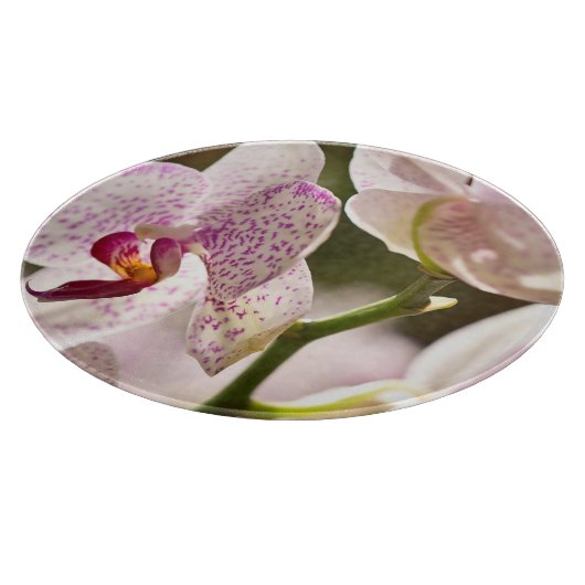 Orchideeën van Shirley Taylor Snijplank (Hoek)