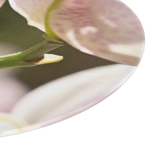 Orchideeën van Shirley Taylor Snijplank (Hoek)