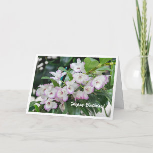 Orchideeën Verjaardag Kaart